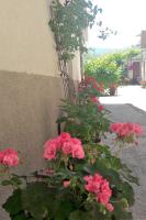 Zahrada ubytování Holiday Home Ivana