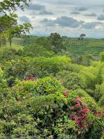 キンバヤにあるMuchoSur Quimbayaの花と茂みのある野原の景色