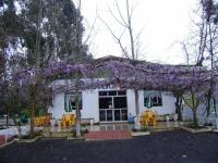 Zahrada ubytování Harry World Parque Hotel