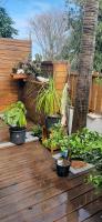 a patio with potted plants on a wooden deck at Meublé de la vallée in Saint-Pierre