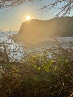 Plan piętra w obiekcie STUDIO SANARY Accès Plage par Tunnel Privé