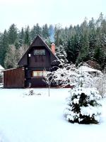 Charming cottage KLARA with Sauna, Nature&Privacy near Prague v zimě