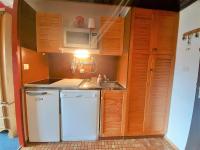 Kuchyňa alebo kuchynka v ubytovaní Studio Cabine 6 Pers. avec TV, Lave-Vaisselle et Casier à Ski - Aragnouet - FR-1-457-320