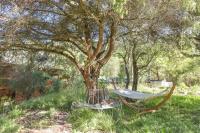 Ogród w obiekcie Wood Chalet 1 Monaco Forest La Turbie - Sleeps 5 people