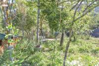 Ogród w obiekcie Wood Chalet 1 Monaco Forest La Turbie - Sleeps 5 people