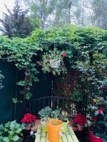 Plán poschodí v ubytovaní Apartment avec le jardin privé