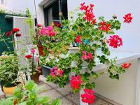 Plán poschodí v ubytovaní Apartment avec le jardin privé