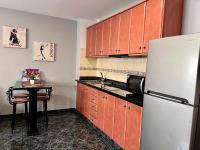 Kuchyň nebo kuchyňský kout v ubytování Apartamentos Dalia