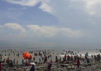 Hotel, New Digha - Housity