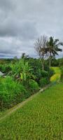 Villa Esa Ubud thumbnail 13