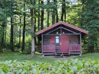 a small cabin with a red door in the woods at Camping Les Vosges du Nord in Oberbronn