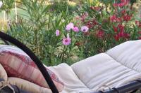 Ogród w obiekcie Villa Jade