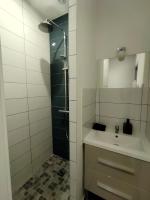 a bathroom with a sink and a shower at La Belle Florentine in Saint-Florent-le-Vieil