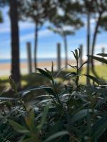 Půdorys ubytování Tamarius Beach Apartments