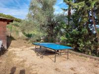 a blue ping pong table sitting in a yard at Mas Chamarel à Sanary-sur-Mer au milieu des vignes et oliviers in Sanary-sur-Mer