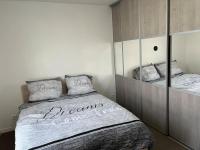 a bedroom with a large bed with mirrored cabinets at Appartement de Romainville in Romainville