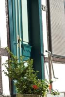 a green door with a potted plant next to a window at Pension Karina Schwerin in Schwerin