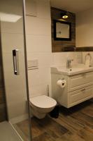 a bathroom with a toilet and a sink at Holzer-Hof 