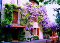 A garden outside Le Querce Hotel