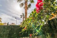 A garden outside Apartamento en bellavista