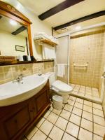 a bathroom with a sink and a toilet and a shower at 見晴花園山莊Sunshine Villa in Ren&#39;ai