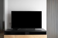 Televízia a/alebo spoločenská miestnosť v ubytovaní Easy Rent Apartments - WETTERA II