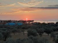 Táj Show holiday homes közelében
