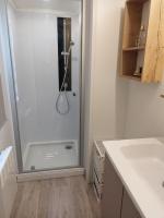 a shower in a bathroom with a sink and a counter at mobil home lac des reves in Lattes