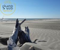 Plage de l&#39;appartement ou située à proximité