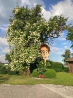 a tree with white flowers and a statue in front of it at Bauernhofpension Herzog zu Laah in Linz