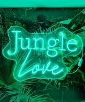 Plán poschodí v ubytovaní Jungle Love avec Balnéo à 10 min de Disneyland Paris
