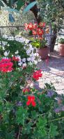 A garden outside Da Nonno Vittorio