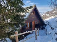 Obiekt Chalet équipé 6 personnes avec cheminée et animaux admis - FR-1-393-159 zimą