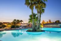 a large swimming pool with palm trees in a resort at Résidence Niccola in Vidauban