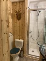 La salle de bains est pourvue d&#39;une douche et de toilettes. dans l&#39;établissement Le cocon du Bettex 1400 - Cozy Apt near Mont Blanc, à Saint-Gervais-les-Bains