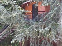 Plán poschodí v ubytovaní Cabane perchée avec lit king-size, salle d'eau, kitchenette, TV, Wi-Fi et petit-déjeuner inclus - FR-1-306-1237