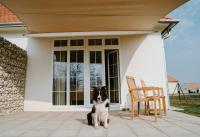 Domáce zviera alebo zvieratá hostí v ubytovaní Chalets Franciska Major, Pro Village