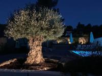 Ogród w obiekcie Villa Sirène-Urlaub in der Provence-Côte d'Azur