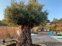 Ogród w obiekcie Villa Sirène-Urlaub in der Provence-Côte d'Azur