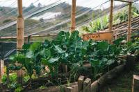 Zahrada ubytování Hotel PIA Colombia