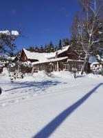 Widok v zime