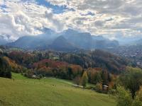 un groupe d&#39;animaux pacant dans un champ de montagnes dans l&#39;établissement Hotel Dreiländerblick Dornbirn, à Dornbirn