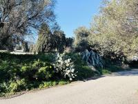 Plán poschodí v ubytovaní Appartement L'Île-Rousse, 2 pièces, 4 personnes - FR-1-63-323