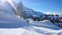 a snow covered hill with trees and a mountain at GITE LES 3 EDELWEISS - Maison SEGUITTE - 6 PERSONNES in Arette