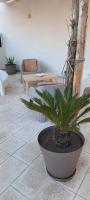 A seating area at Scogliera apartments