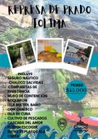 represa prado tolima - Housity