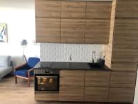 Kuchyň nebo kuchyňský kout v ubytování Marienlyst Apartment
