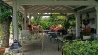 Ogród w obiekcie Villa Mirella Beach