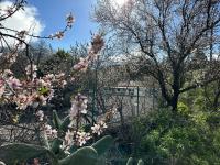 Zahrada ubytování Villa Montaña Colorada