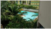 a view of a swimming pool with palm trees at Le Studio de Jo in Cayenne